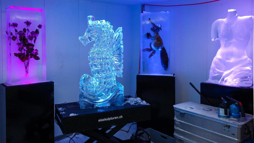 eisskulpturen / rosen und squirrel eingefroren