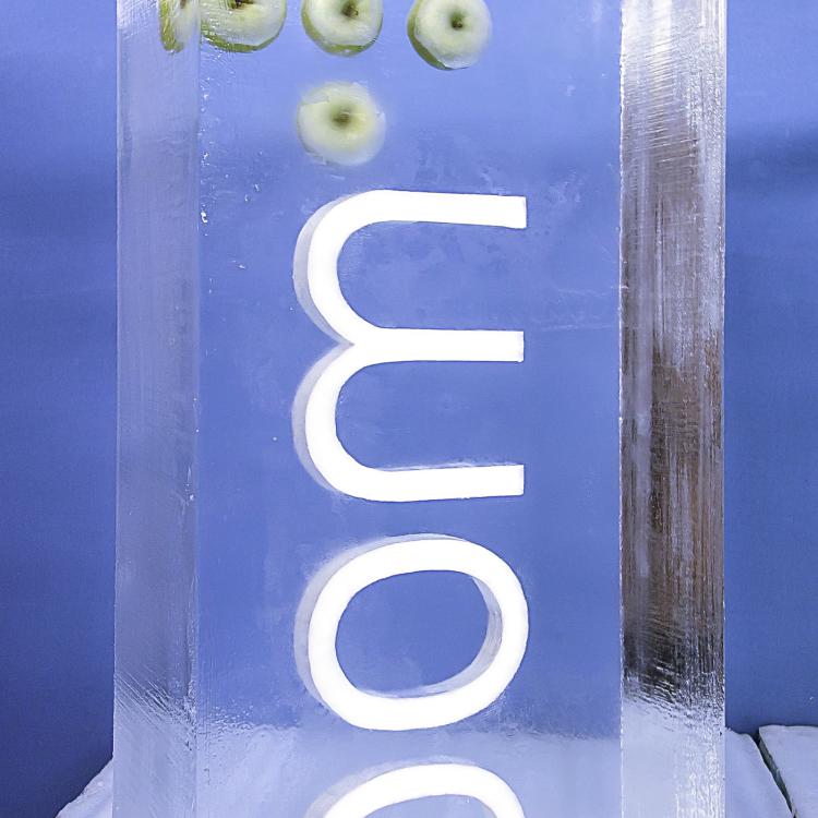 eisskulpturen.ch  Eislogo pom+