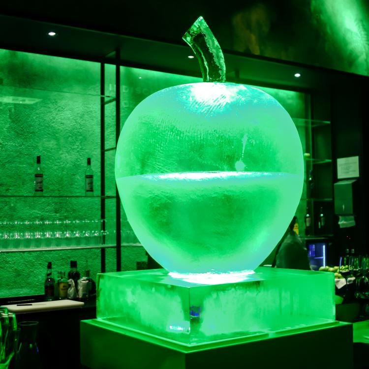 eisskulpturen.ch  Eislogo pom+