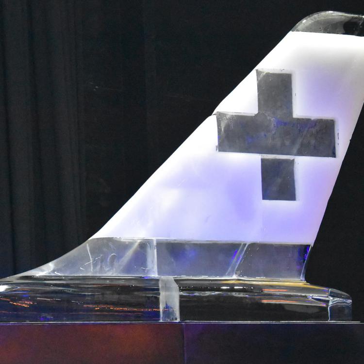 eisskulpturen_Ch_Eislogo_Swiss_nach dem Event