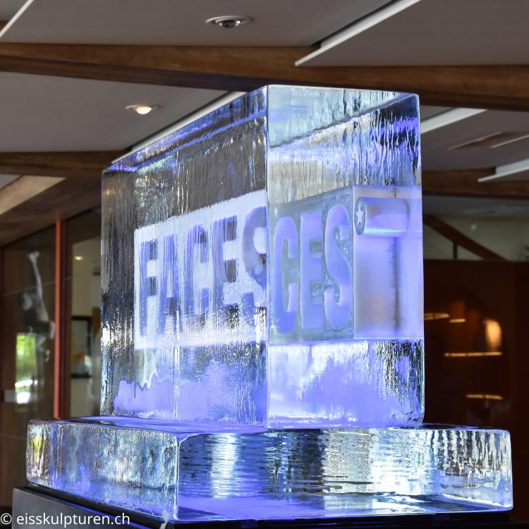 Eislogo Faces