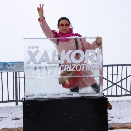 eisskulpturen.ch  Eislogo Xalkori