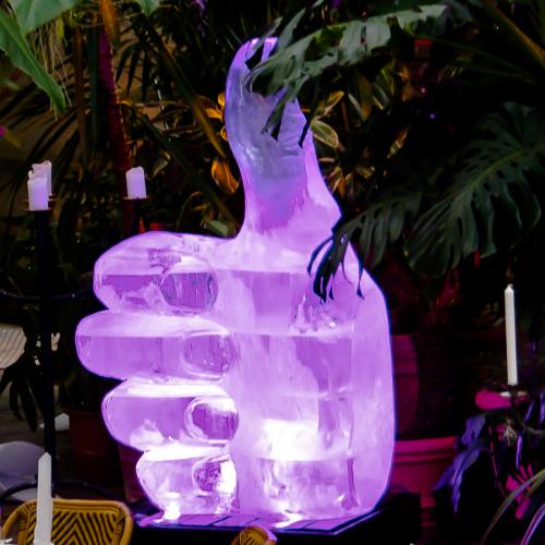eisskulpturen.ch  Eislogo