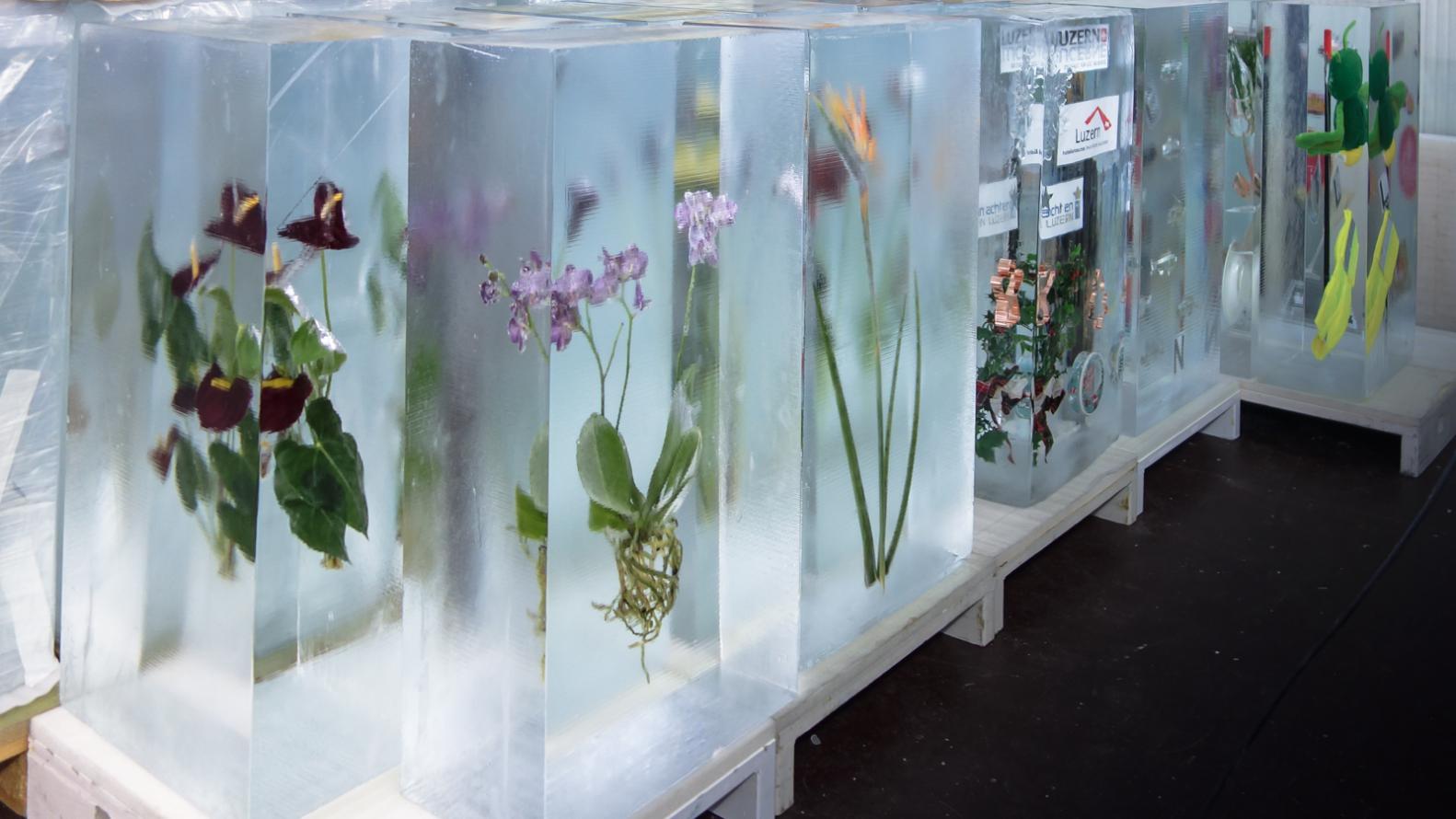 eisskulpturen.ch - eingefrorene Blumen