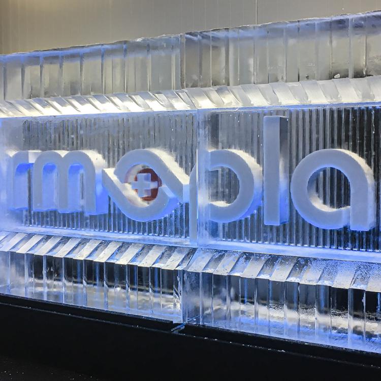 eisskulpturen.ch_eisbar 3m Thermoplan