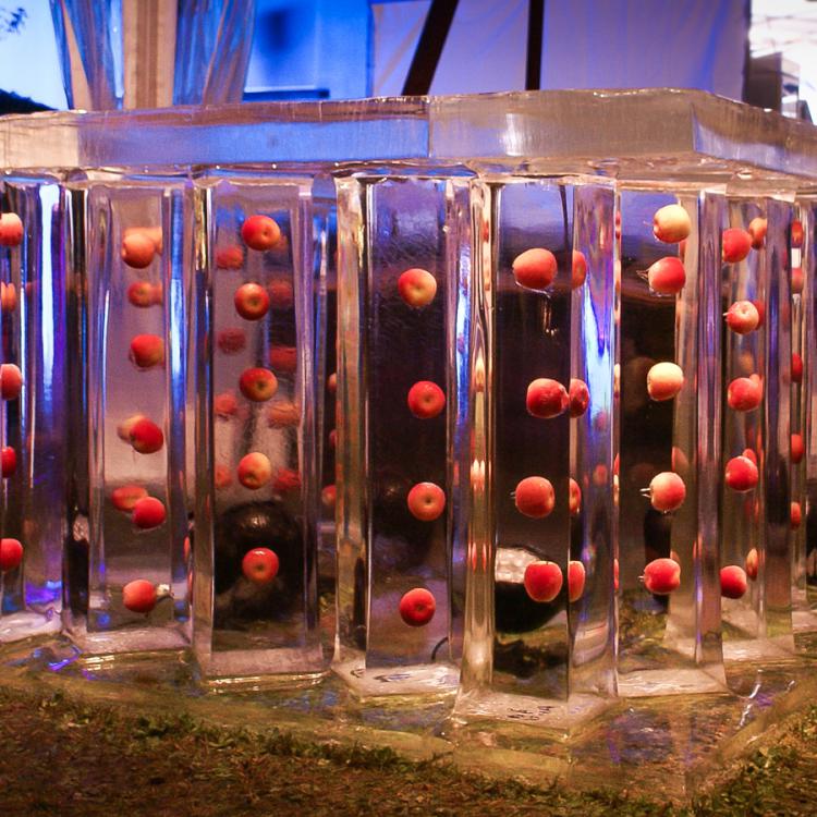 eisskulpturen.ch_eisbar_mit Apfel