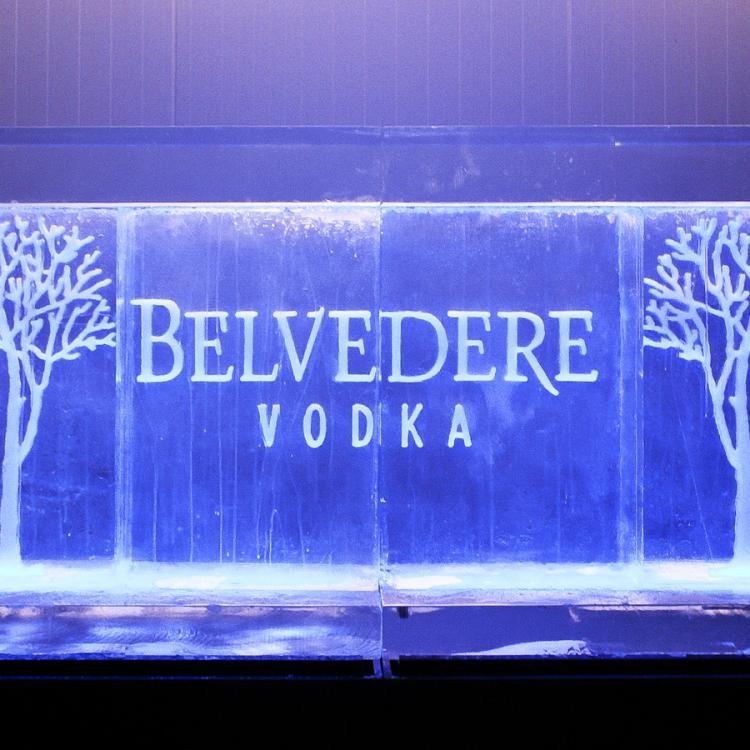 eisskulpturen.ch_eisbar_belvedere