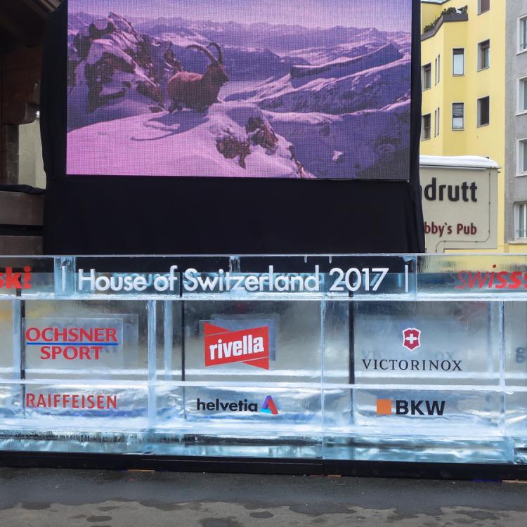 eisskulpturen.ch_eisbar_swissski
