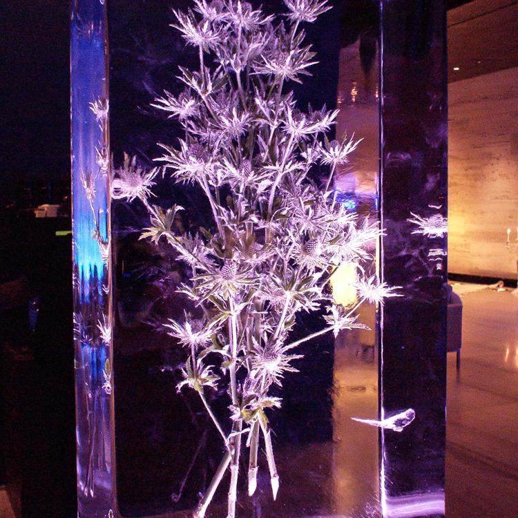 Eisskulpturen_eingefrorene Blumen