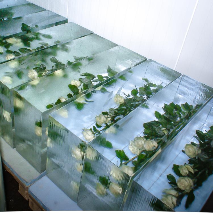 Eisskulpturen_eingefrorene Blumen