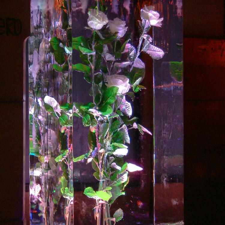 Eisskulpturen_eingefrorene Blumen Rosen