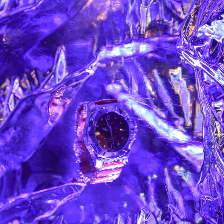Eisskulpturen_eingefrorene Blumen Rosen