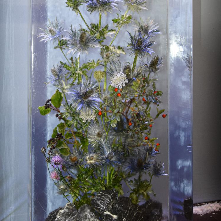 Eisskulpturen_eingefrorene Blumen 