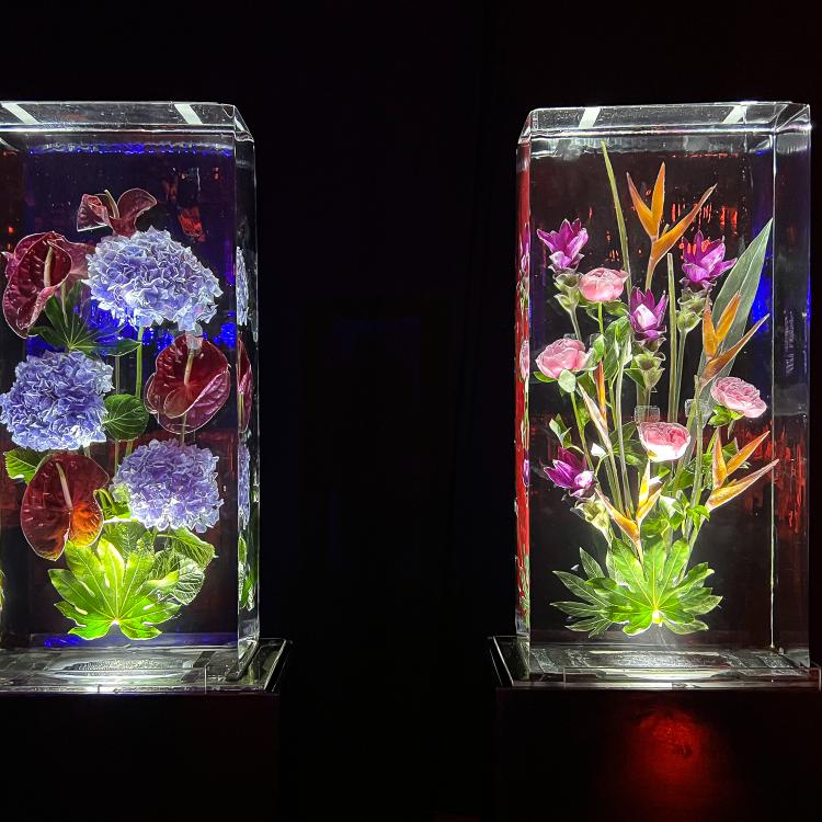 Eisskulpturen_eingefrorene Blumen