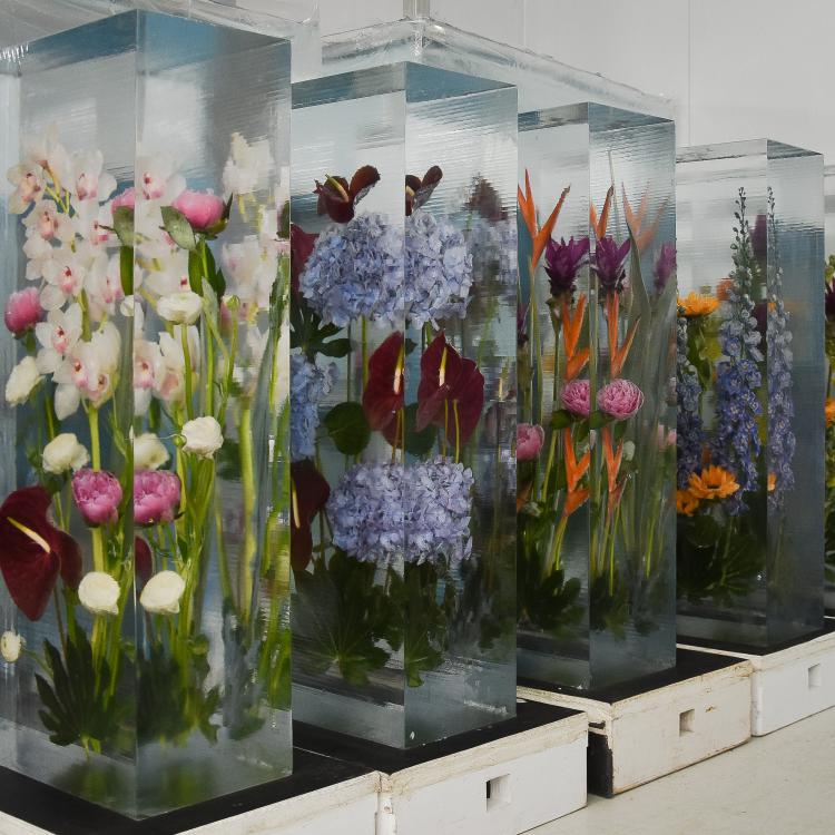 Eisskulpturen_eingefrorene Blumen