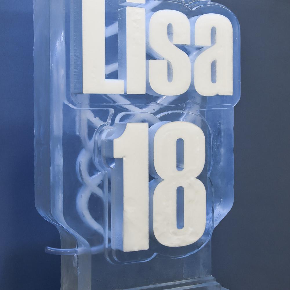 eisskulpturen.ch_durchlaufkühler_Lisa 18