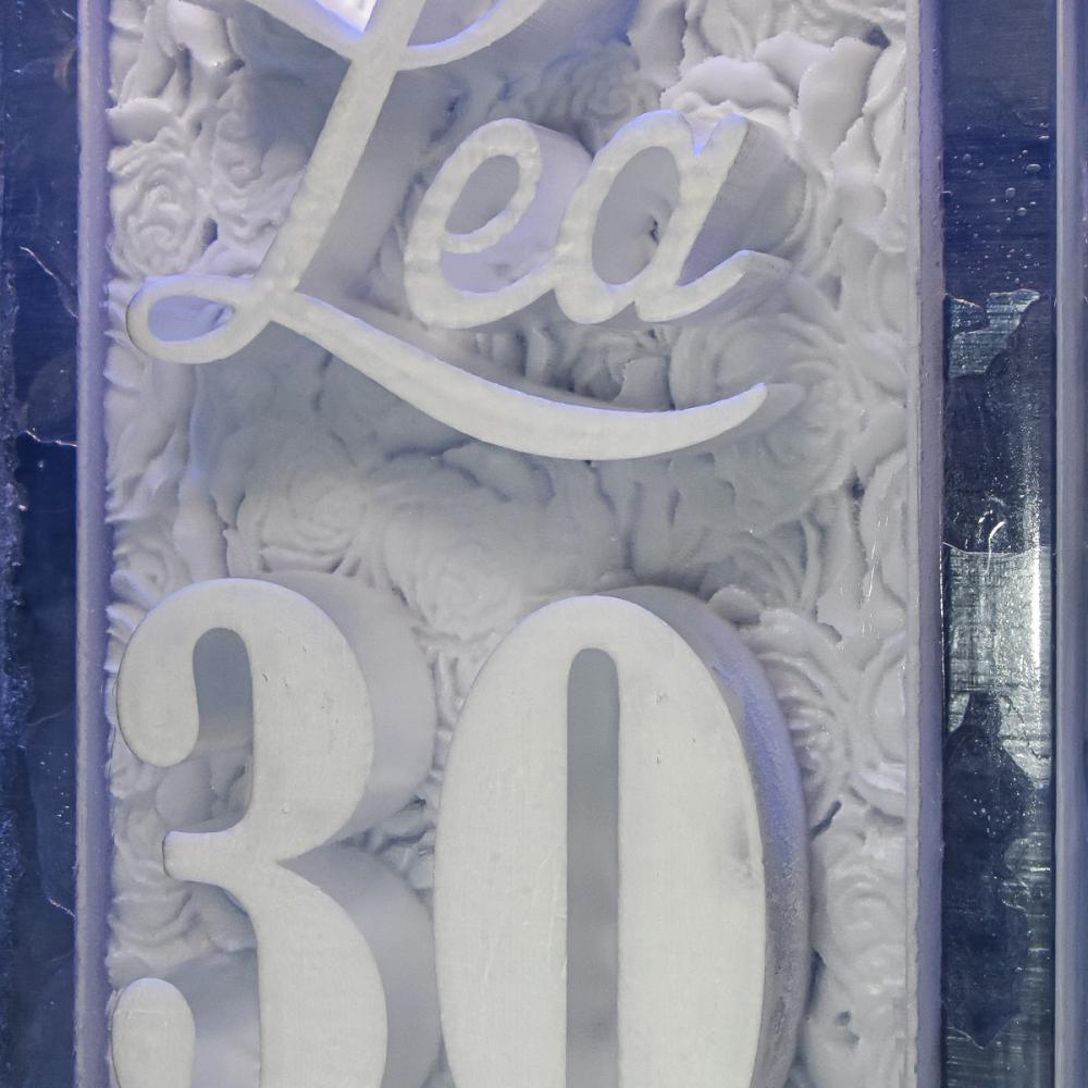 eisskulpturen.ch_durchlaufkühler_30
