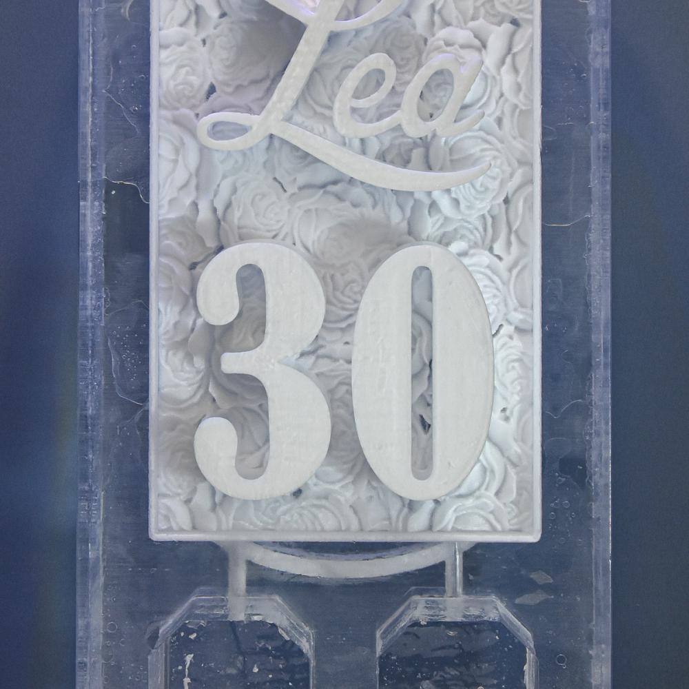 eisskulpturen.ch_durchlaufkühler_Lea30