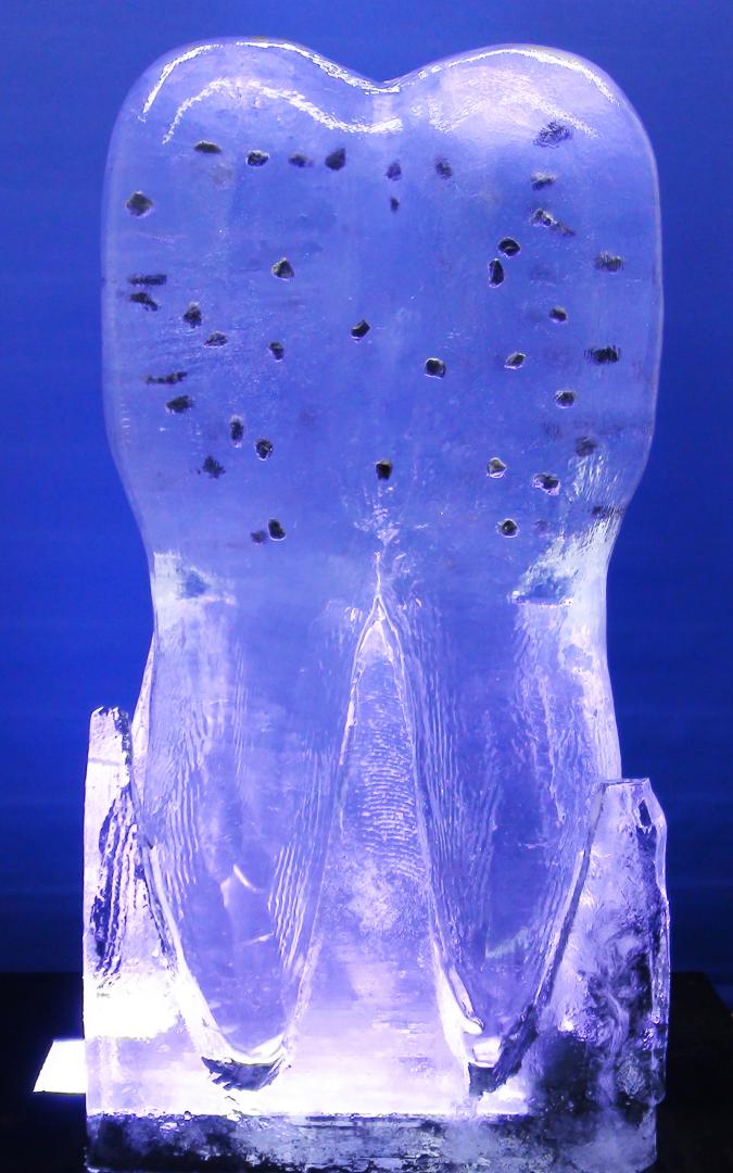eisfiguren eisskulpturen.ch