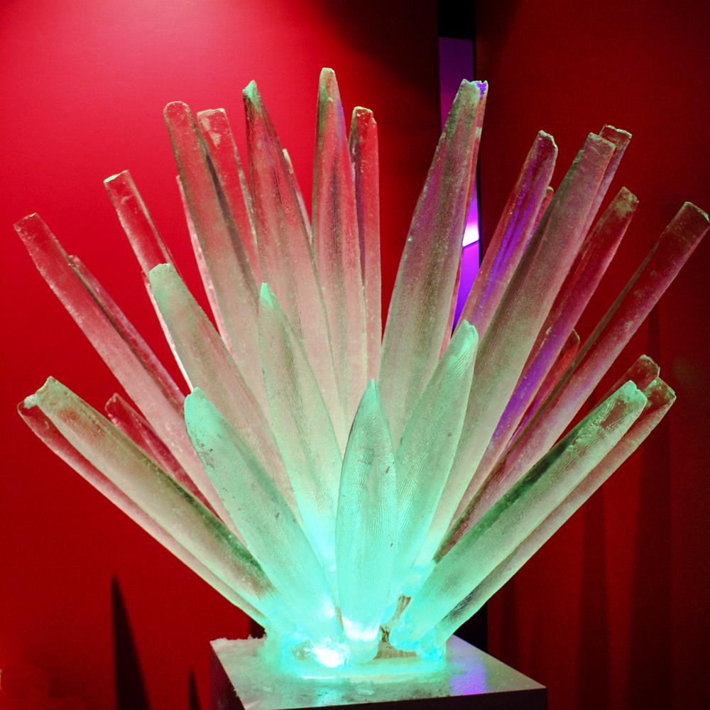 eisskulpturen.ch  Eisbar und Eisfiguren Mexico